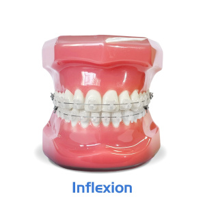 Типодонт INFLEXION: керамические самолигирующие
