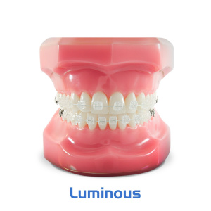 Типодонт LUMINOUS: сапфировые лигатурные